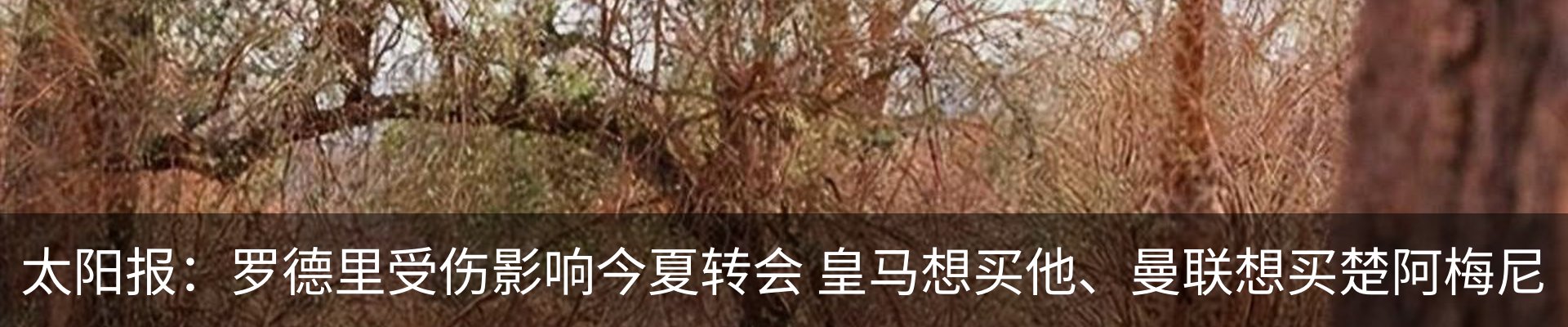 热点资讯