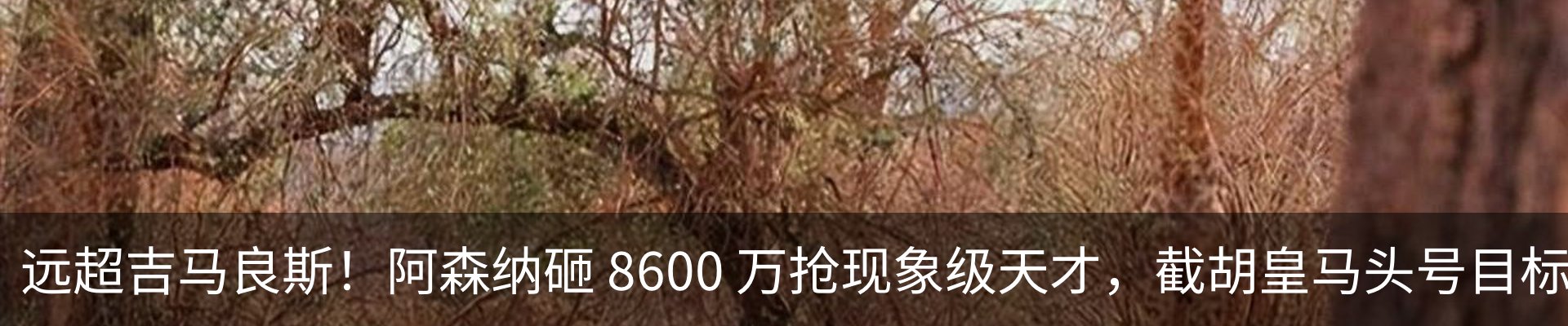 热点资讯